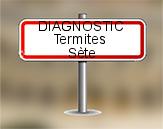 Diagnostic Termite ASE à